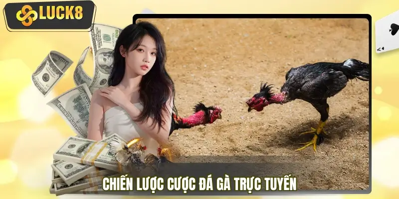 Chiến lược tối ưu lợi nhuận trong đá gà trực tuyến Chiến lược tối ưu lợi nhuận trong đá gà trực tuyến