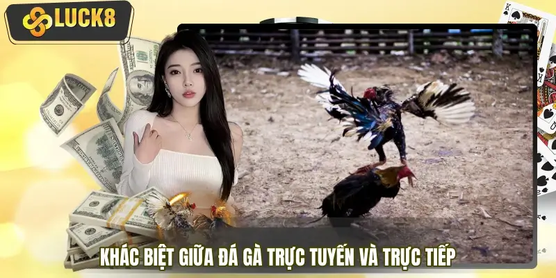 Sự khác biệt giữa xem truyền thống và live HD trực tuyến Sự khác biệt giữa xem truyền thống và live HD trực tuyến