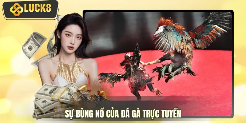 Đá gà trực tuyến 2026 & sự bùng nổ trải nghiệm live HD Đá gà trực tuyến 2026 & sự bùng nổ trải nghiệm live HD